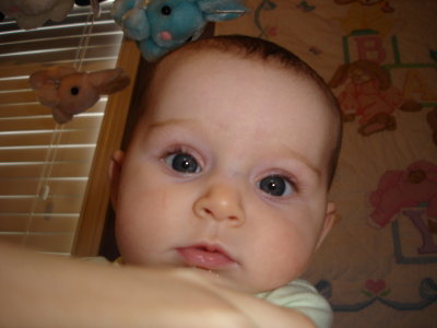 g1/31/735631/3/92470543.L9MLDP1y.jpg