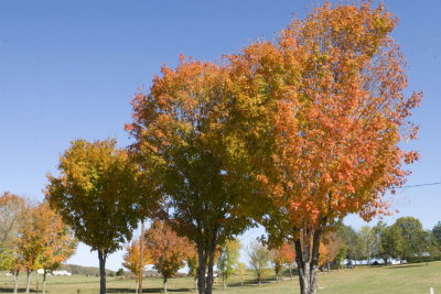 A Tennessee Fall