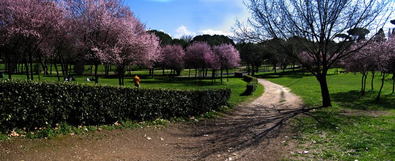 A view in the Borghese Gardens
