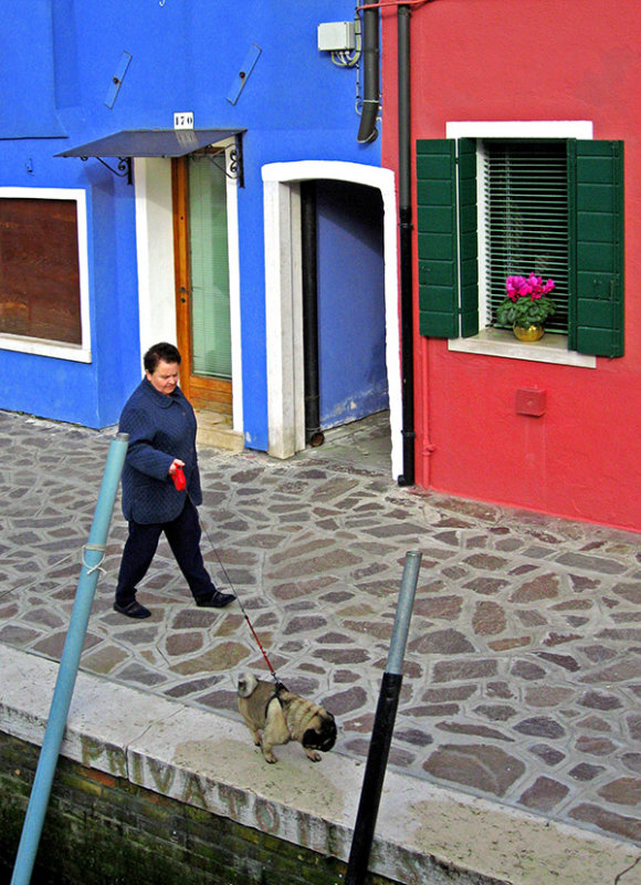 Walking doggie  in Burano .. 2926