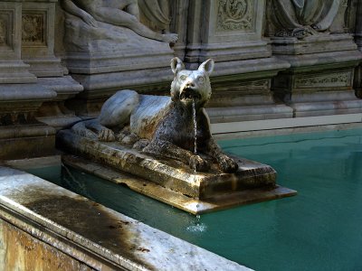 Fonte Gaia .. S9186