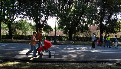 Borghese Gardens: Viale delle Magnolie<br/> .. R9442