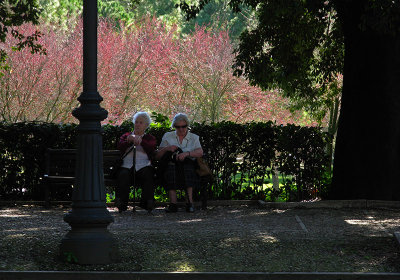 Resting in the shade on the Viale delle Magnolie .. R9446_7