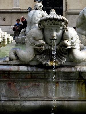  Fontana del Moro, closeup ..  R9563