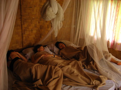 mosquito net boudoir