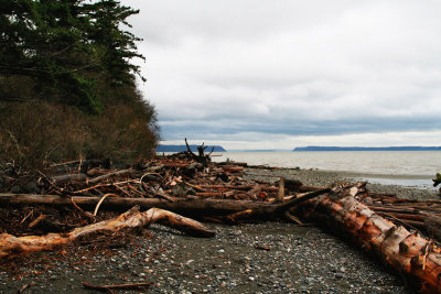 Puget Sound Beach