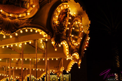 Carousel into the Night