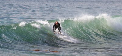Laguna Surfer
