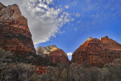 Zion In The Morning