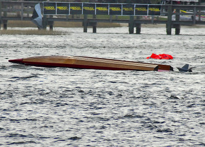 g1/31/78831/3/105427746.FPzya87w.jpg