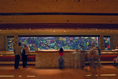 The Aquarium At The Mirage