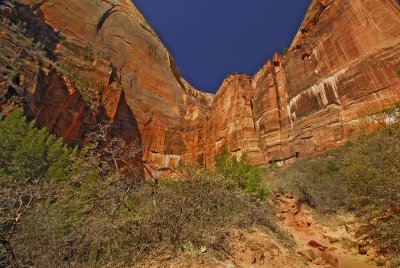 Zion National Park