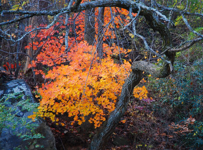 North Carolina