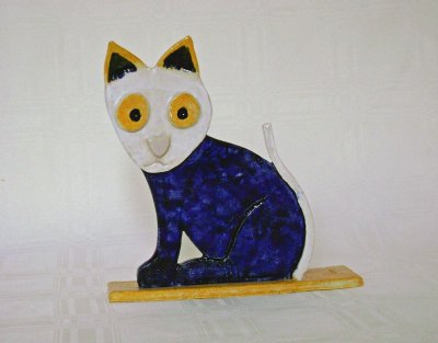 flat cat