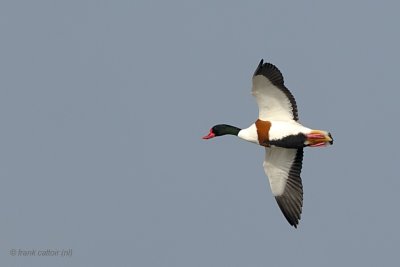 g1/31/789431/3/92415952.xCWr3fZl.jpg
