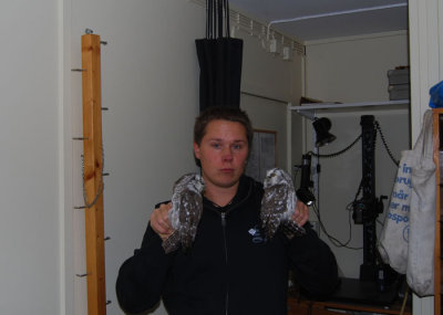 3 Uggler