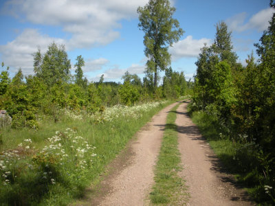 Duvudden med Brun grsfjril Vstergtland 14.6-09