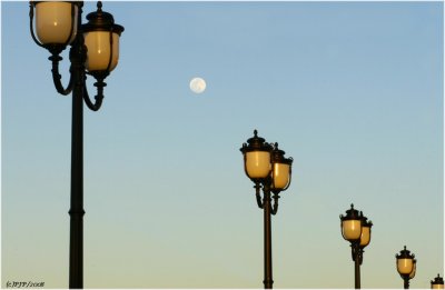 Street Lights...