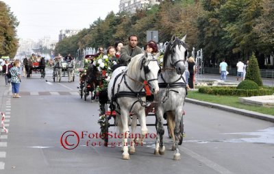 zilelebucurestiului_05.JPG