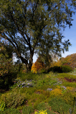 Fall 2010 - Fort Tryon I
