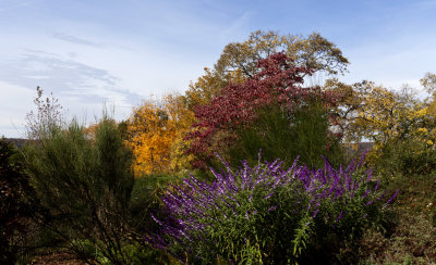 Fall 2010 - Fort Tryon II