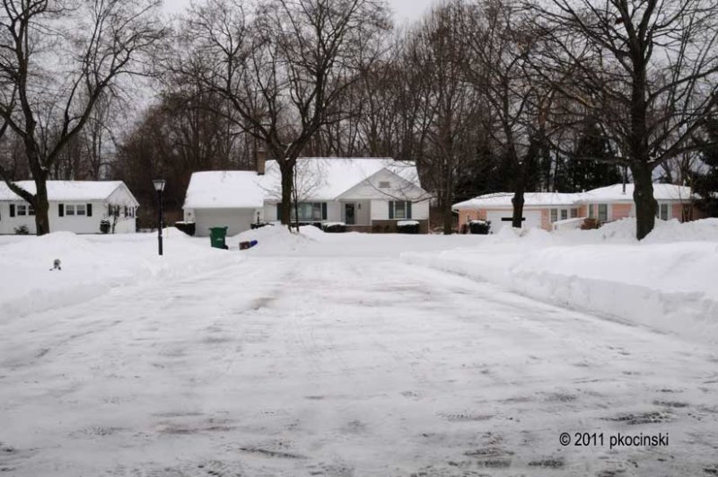 Snowstorm Was A Bust...