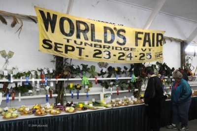 2009 World's Fair