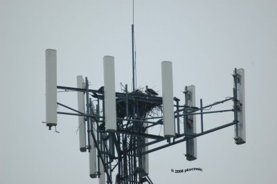 Best Use of Cell Tower