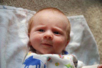g1/31/821831/3/106675893.gi6oRhMd.jpg