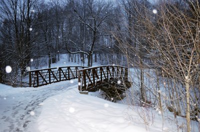 Seasons