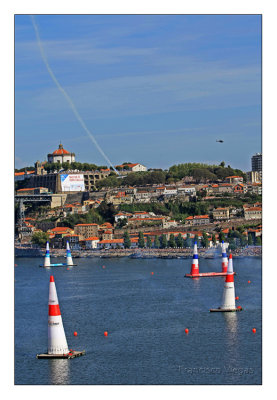 Red Bull Air Race 2008