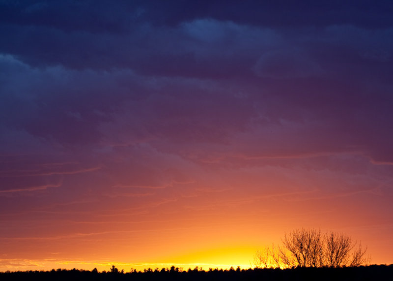 Corkery Woods sunset