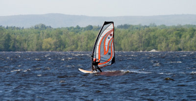 _MG_2300.jpg