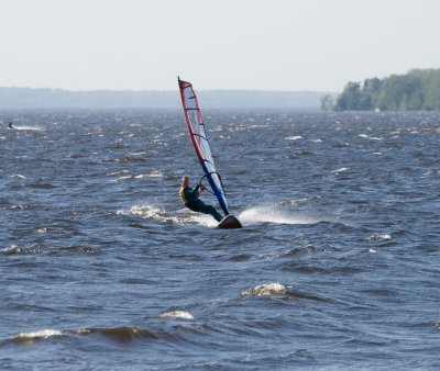 _MG_2323.jpg