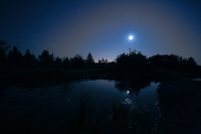 moon light & pond