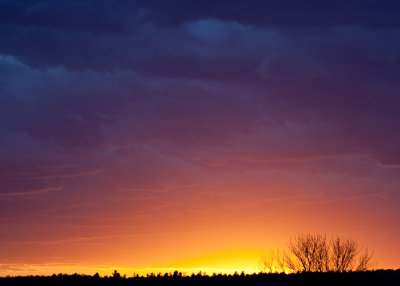Corkery Woods sunset