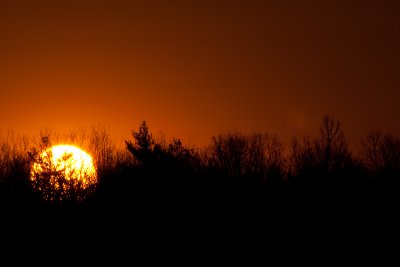 rising sun