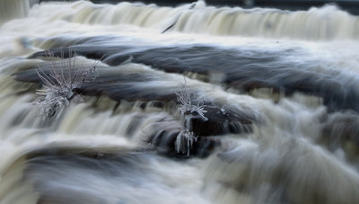 Almonte falls
