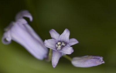 DSC_1587.jpg