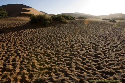 sossusvlei