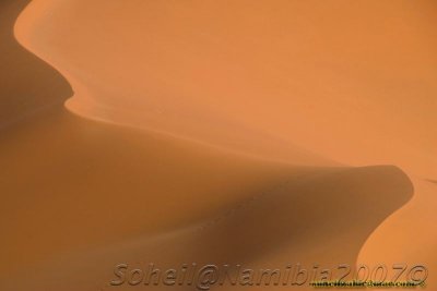 SSR-D4506062007_0085wtmk.jpg