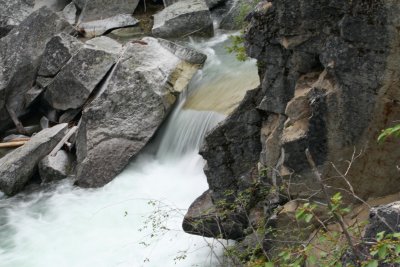 IMG_0201_1.jpg
