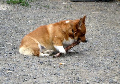 IMG_1009.jpg