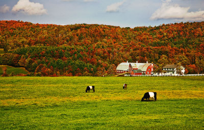 Vermont Farm-3876.jpg