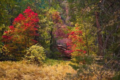 west_fork_fall_color