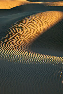 Death-Valley-dunes_1024.jpg