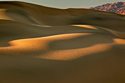 Death-Valley-dunes_1030.jpg