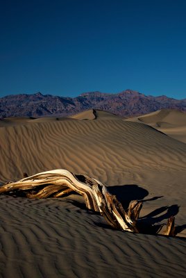 Death-Valley-Dunes-0959.jpg
