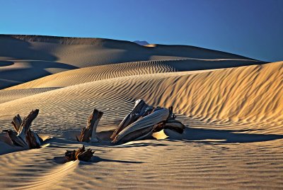 Death-Valley-Dunes-0976.jpg