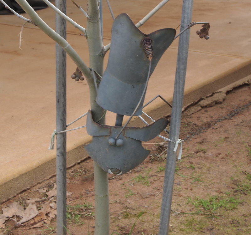 Tin cat.